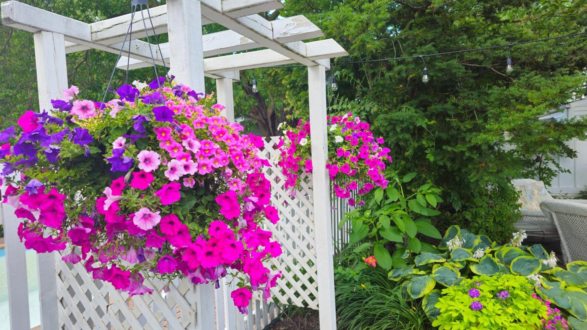 Historic Wilson-Guy House Bed and Breakfast Niagara-on-the-Lake Eksteriør billede