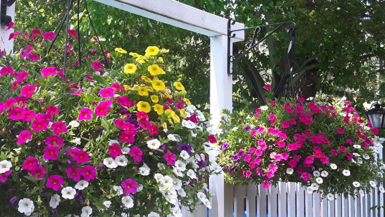 Historic Wilson-Guy House Bed and Breakfast Niagara-on-the-Lake Eksteriør billede